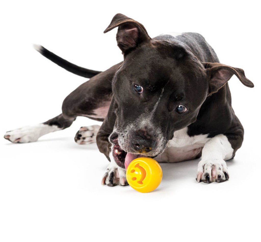 Outward Hound Orbee-Tuff Nooks Geel