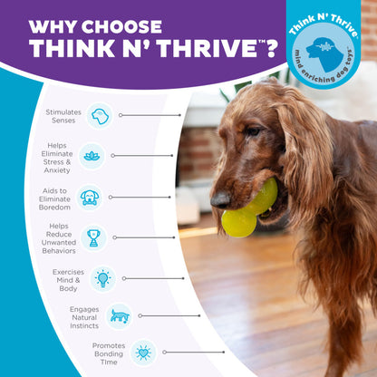 Outward Hound Double-Tuff L Groen