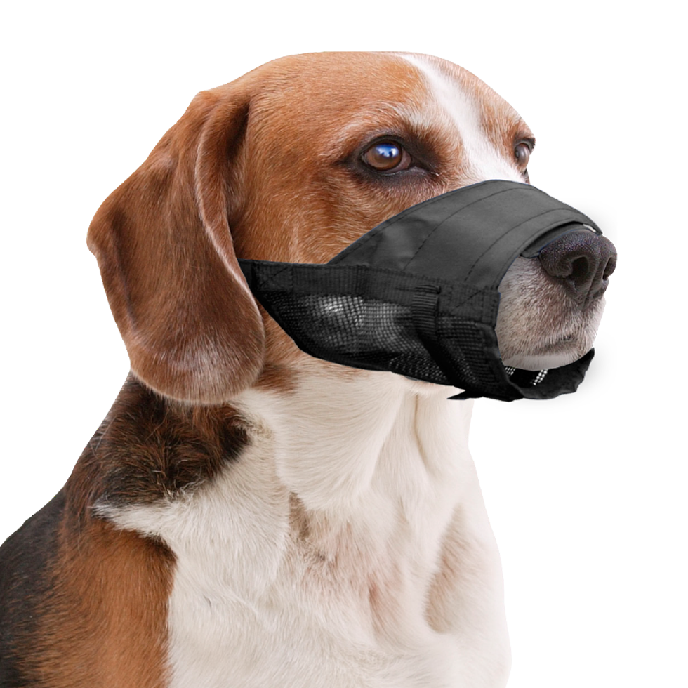Pawise Adjustable Nylon Muzzle XS