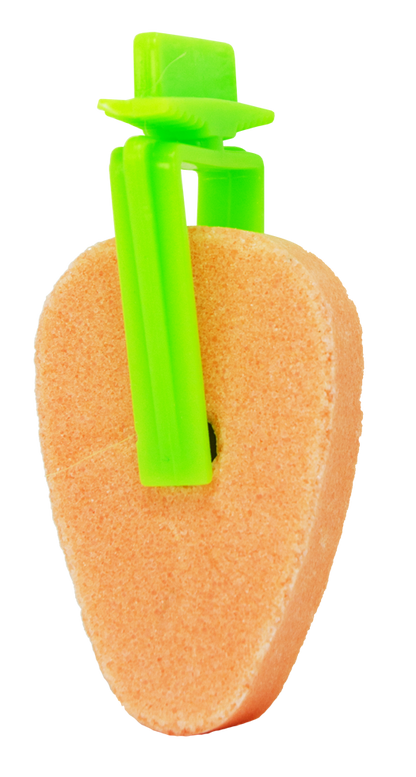 Pawise Play & Chew Salt Carrot