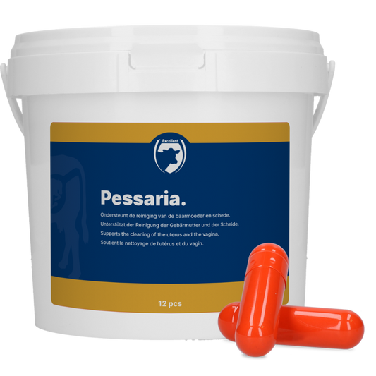 Excellent Pessaria Capsule 12 st