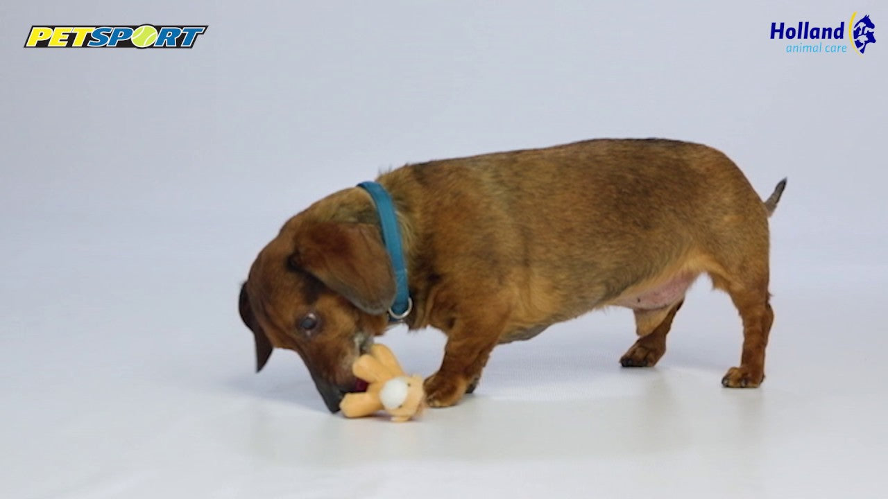 Petsport Tiny Tots Teddy Bruin