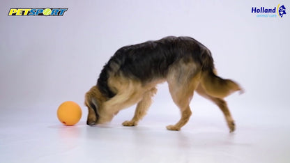 Petsport Kingpin Kibbler Zwart