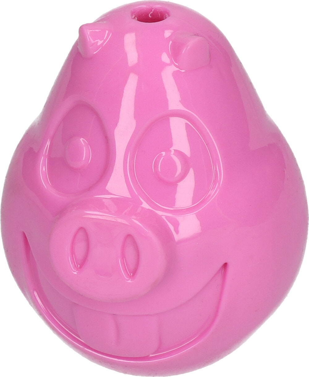 Petsport Mojo Friends Varken L