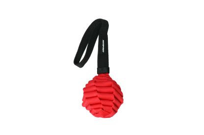 Petsport Twisted Chews - Cherry Bomberr
