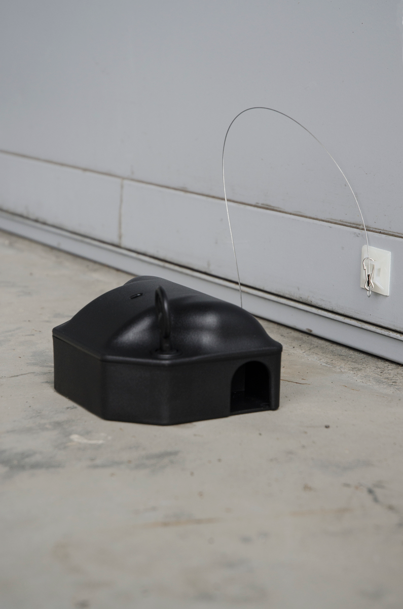 Plak-anker voor voerdoos tweezijdig 25cm + haak (set=10st)