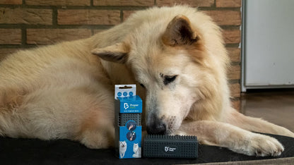 Proper Pets Haarverwijderaar