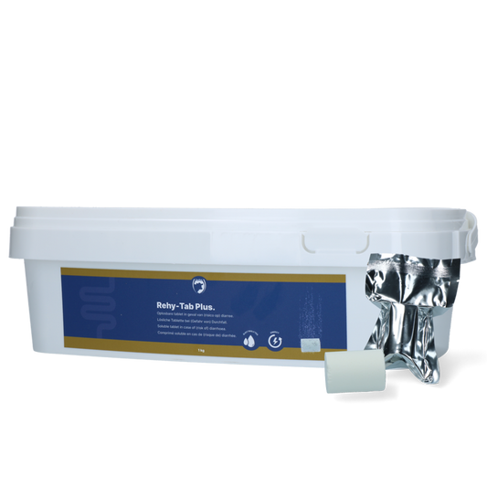 Rehy-Tab Plus (Bruistablet diarree) 20 tabl