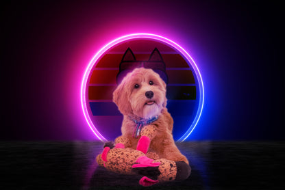 Retrodog Donkey Roze S
