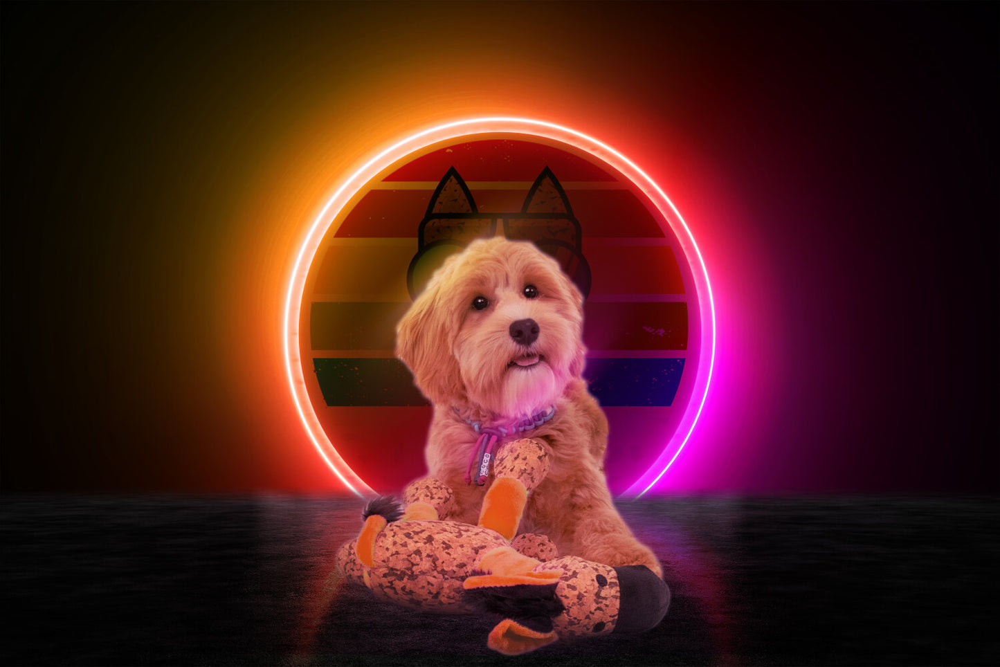 Retrodog Donkey Oranje S