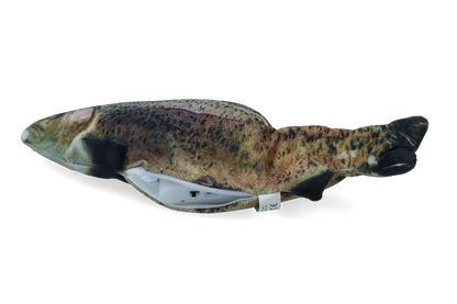 Robocat Forel