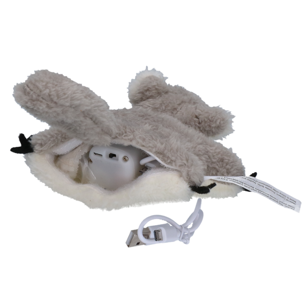 Robocat Eekhoorn