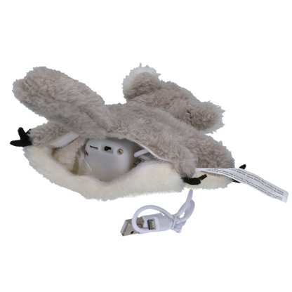 Robocat Eekhoorn