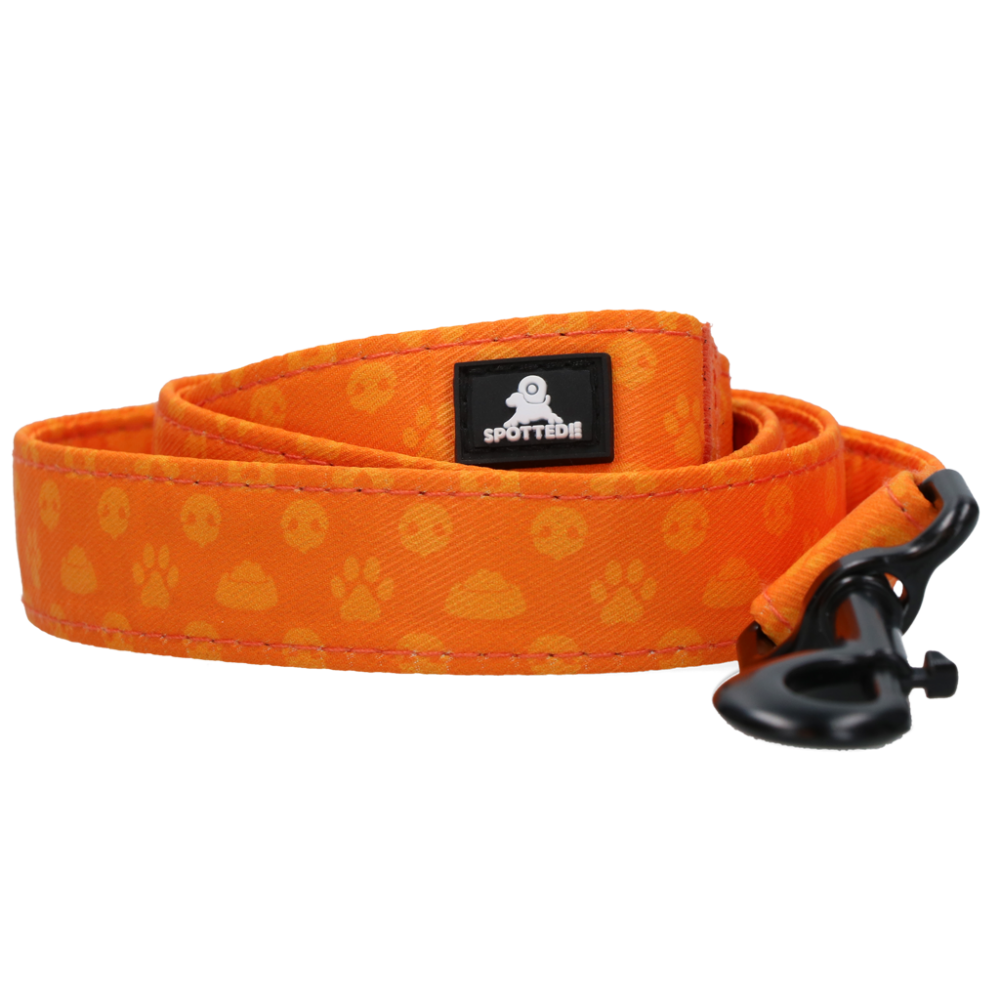 Spotted! Pro Perfect Leash 120 cm Oranje