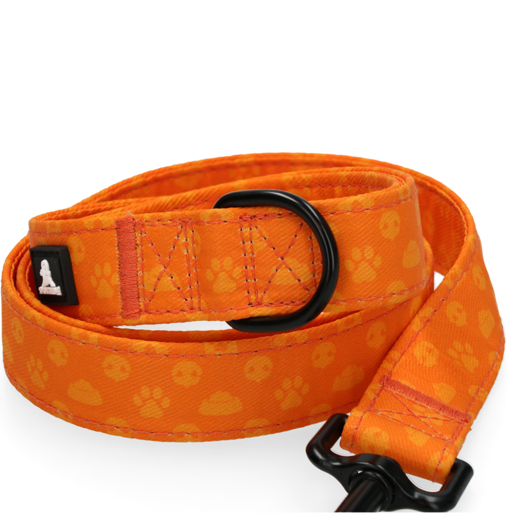 Spotted! Pro Perfect Leash 120 cm Oranje