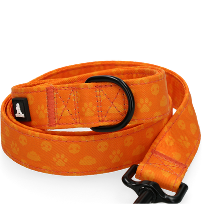 Spotted! Pro Perfect Leash 120 cm Oranje