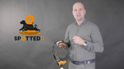 Spotted! Pro No Pull Harnas Oranje M