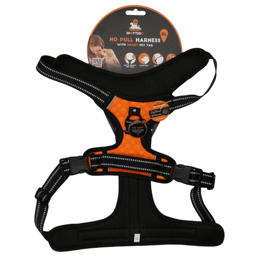 Spotted! PRO Harnas Oranje XL