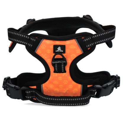 Spotted! PRO Harnas Oranje XL