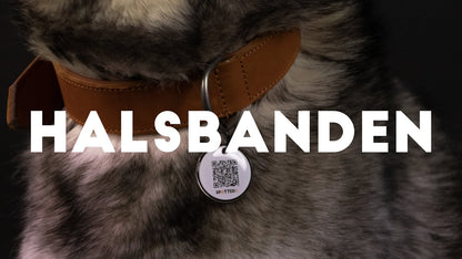 Spotted! Pro Leren Halsband Bruin 2,5 x 40 cm