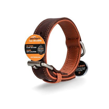 Spotted! Pro Leren Halsband Bruin 2,5x40cm