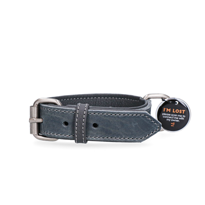 Spotted! Pro Leren Halsband Grijs 2,5 x 45 cm