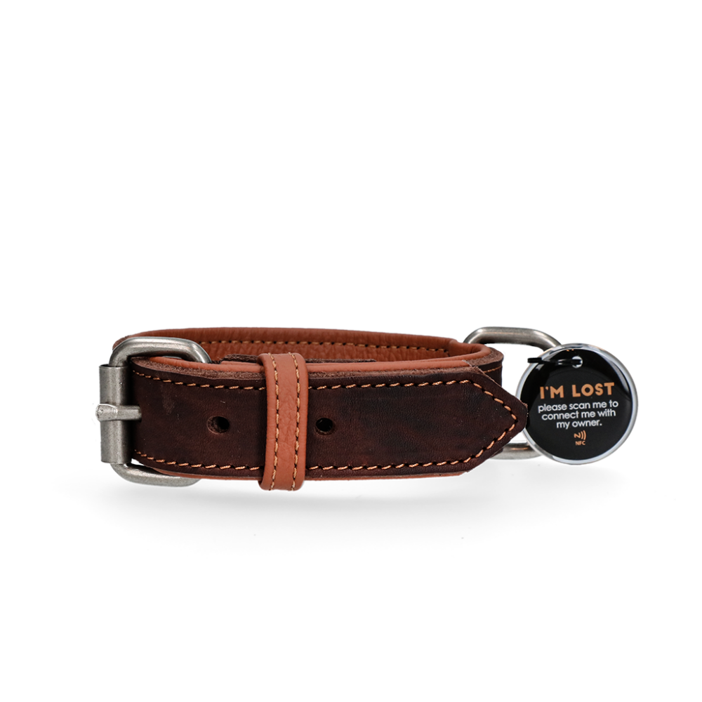 Spotted! Pro Leren Halsband Bruin 2,5 x 45 cm