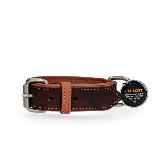Spotted! Pro Leren Halsband Bruin 2,5 x 45 cm