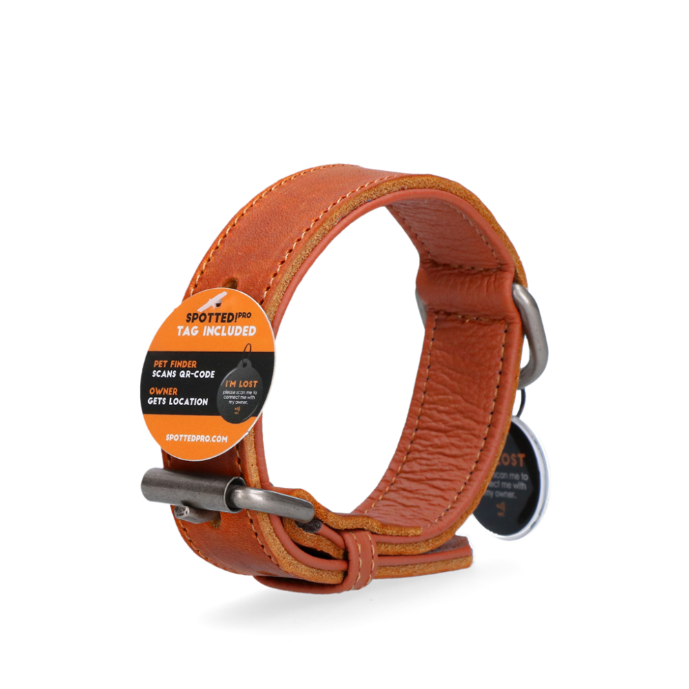 Spotted! Pro Leren Halsband Cognac 2,5 x 45 cm