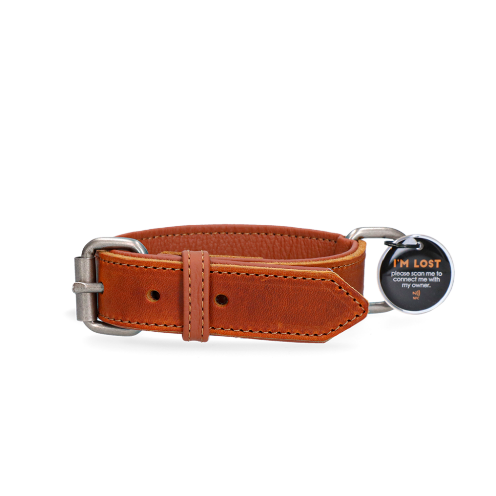 Spotted! Pro Leren Halsband Cognac 2,5 x 50 cm