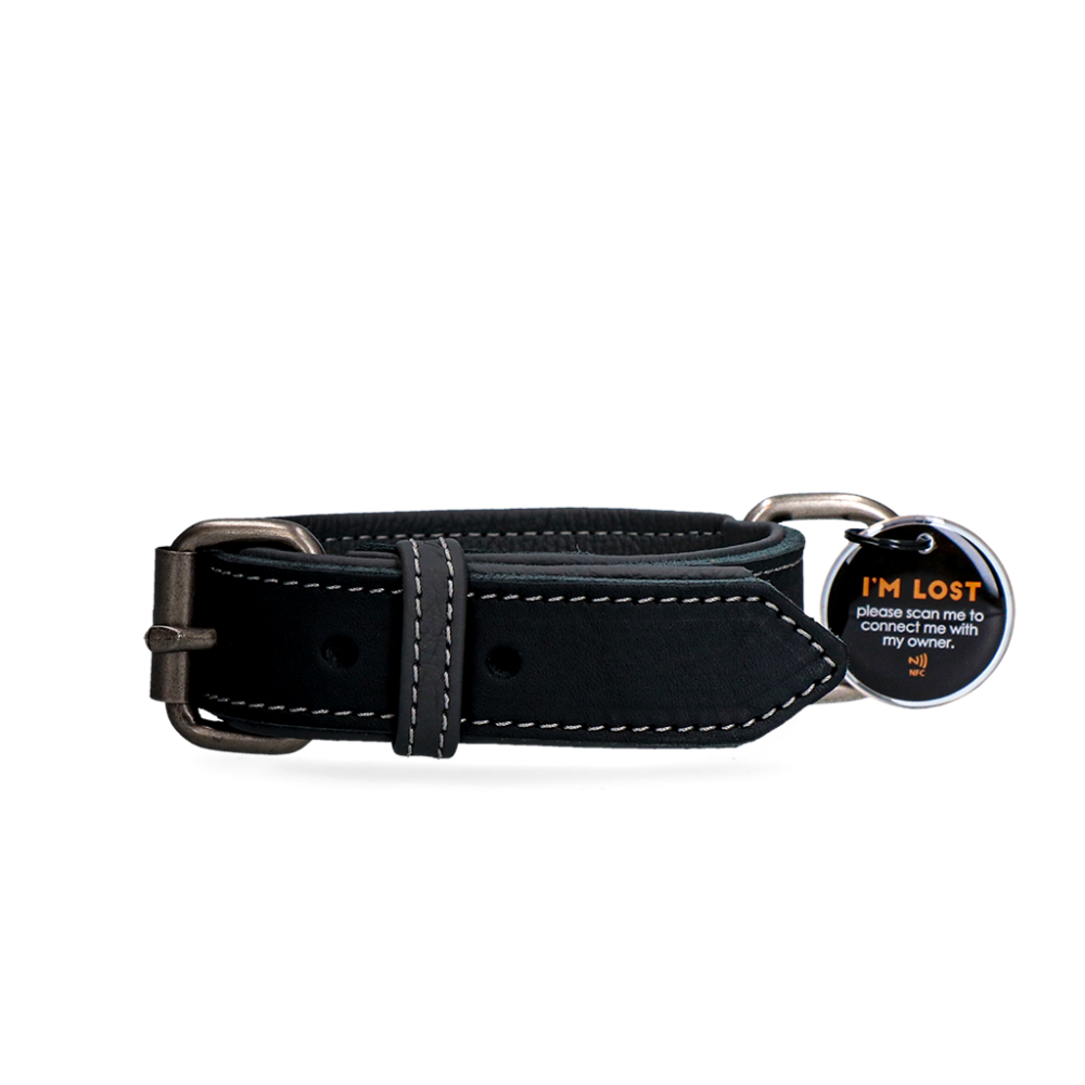 Spotted! Pro Leren Halsband Zwart 3 x 65 cm