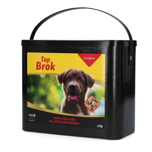 Topbrok Excellent Puppy