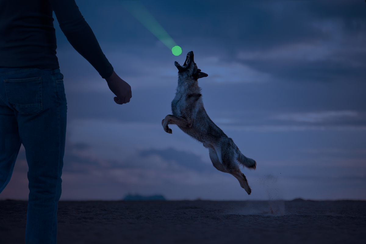 2 Glow Cracking &amp; tracking bone