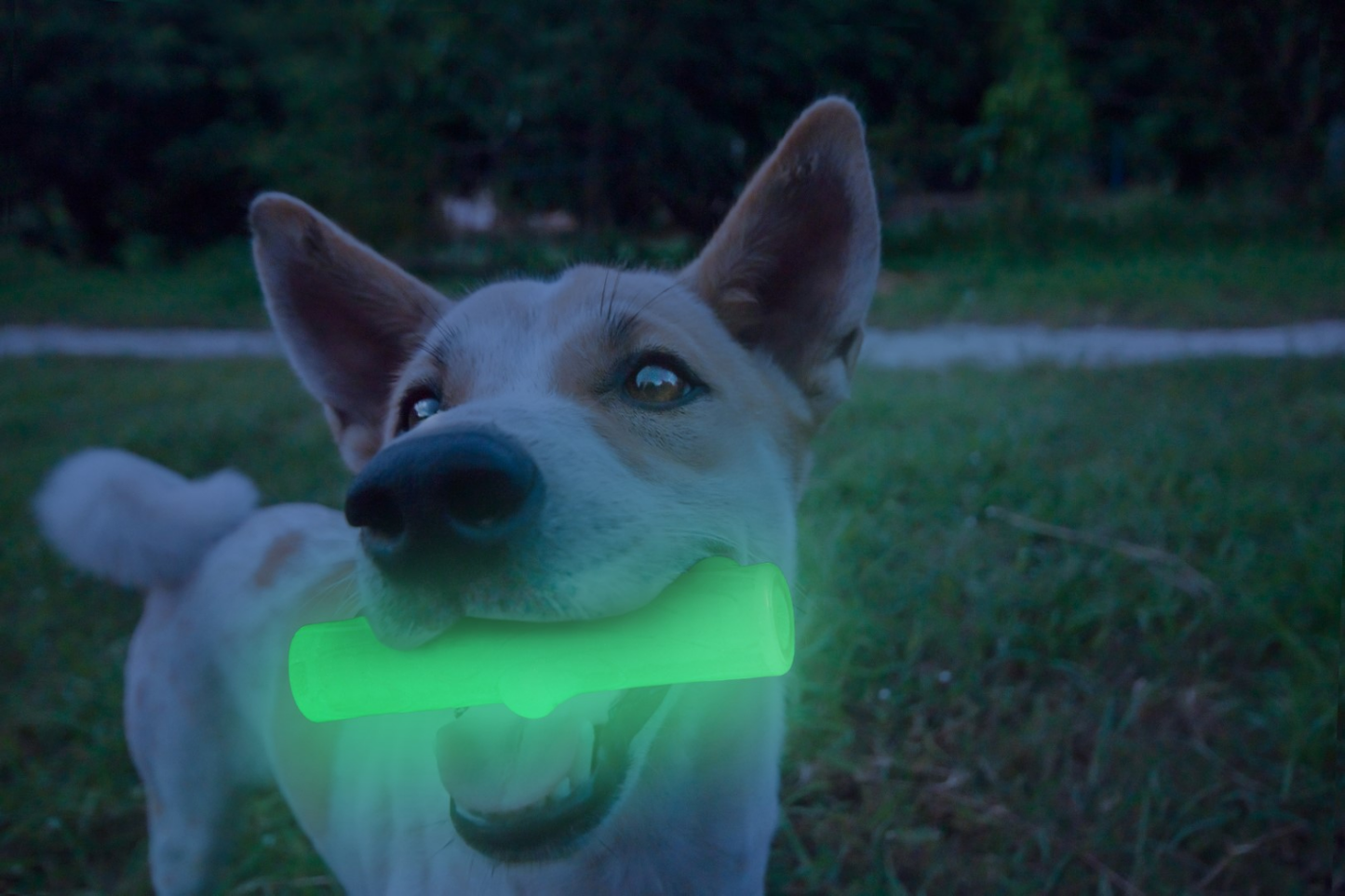 2 Glow Cracking &amp; tracking stick