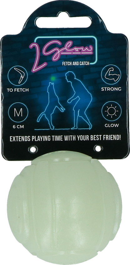 2 Glow Fetch & Play
