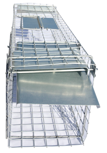 Doorloopval rat 65x17x20cm