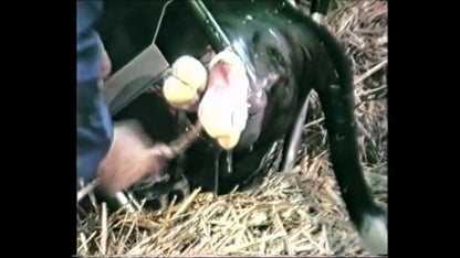Vink Veeverlosser Beugel compleet