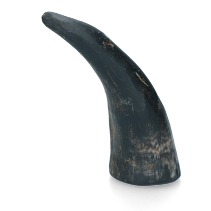 Viking whole Horn S
