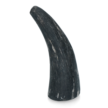 Viking whole Horn S