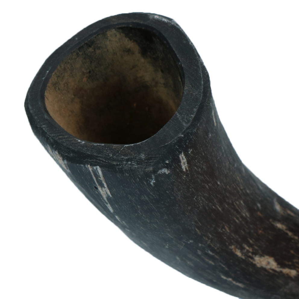 Viking whole Horn S