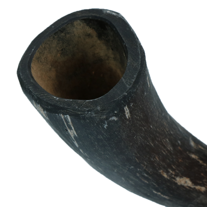 Viking whole Horn S