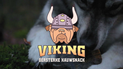 Viking Horn Twist M