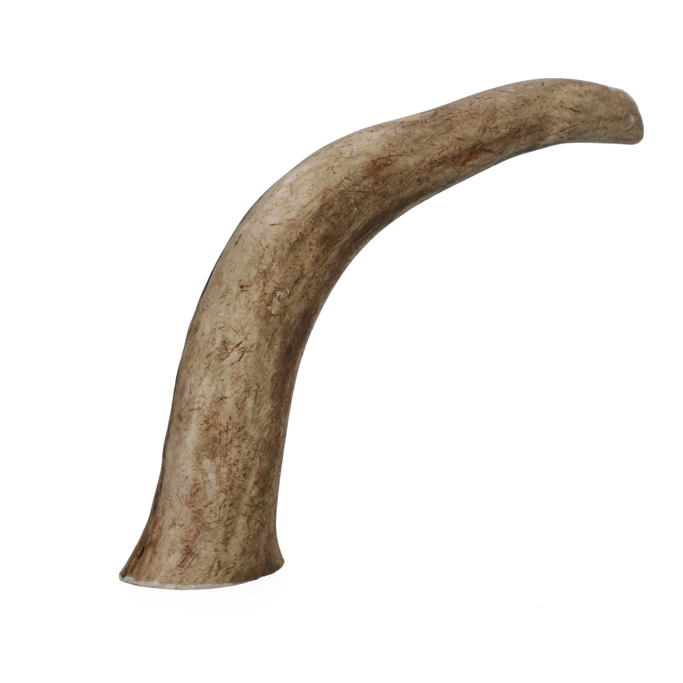 Viking Antler Hard XL