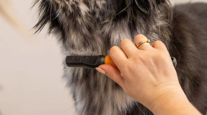 Wahl Dematter Ontklitterkam voor Honden