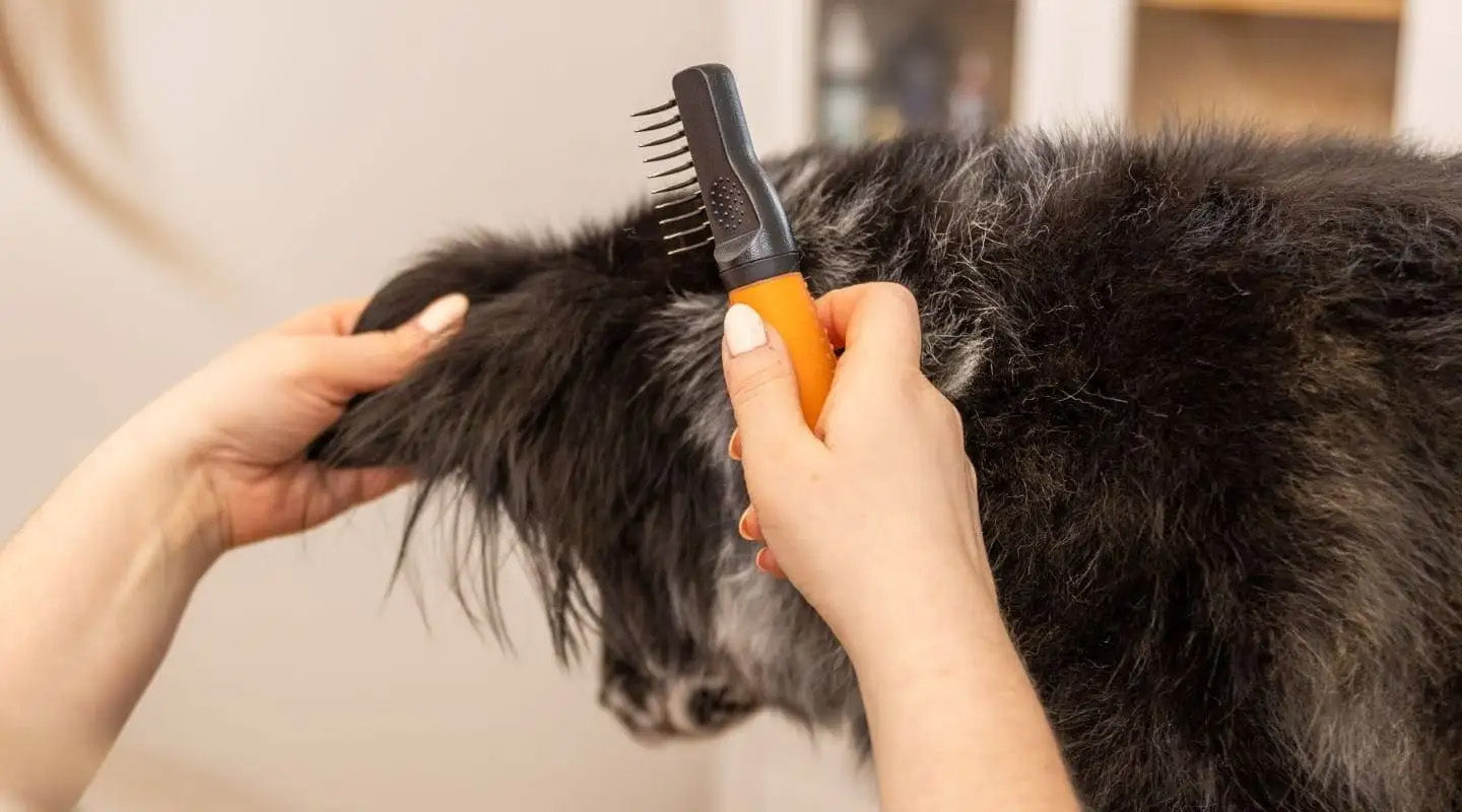 Wahl Dematter Ontklitterkam voor Honden