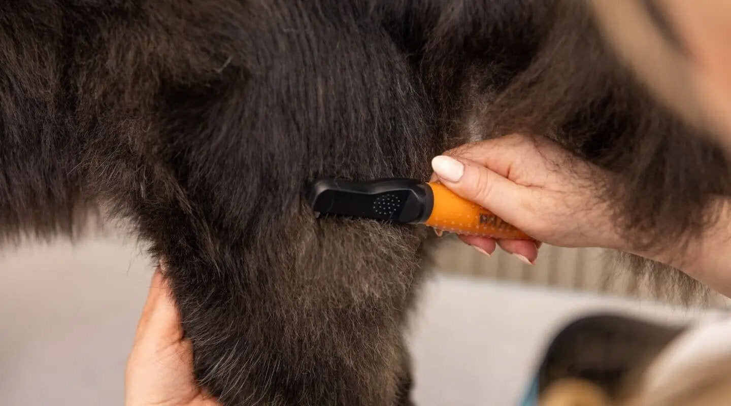 Wahl Dematter Ontklitterkam voor Honden