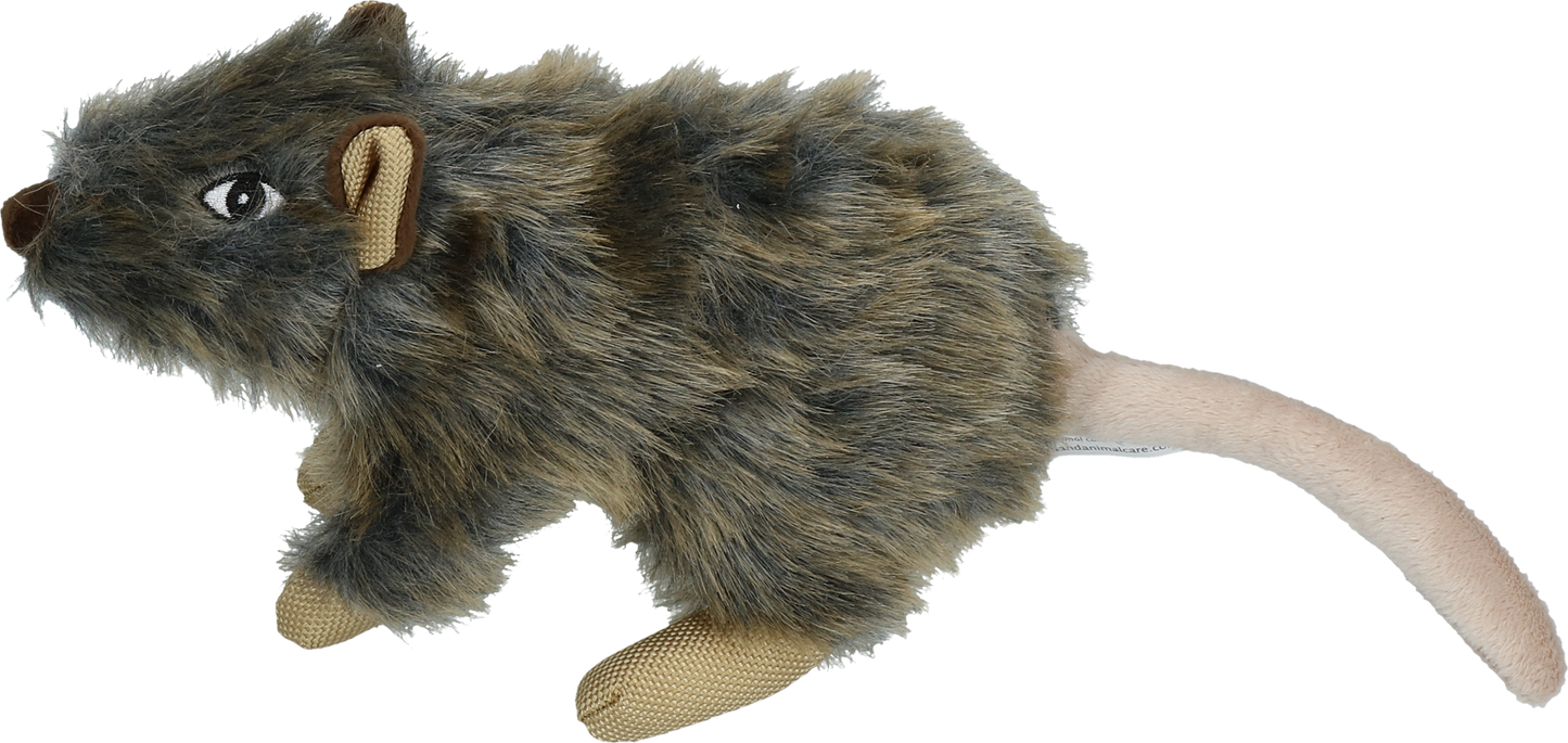 Wild Life Dog Rat
