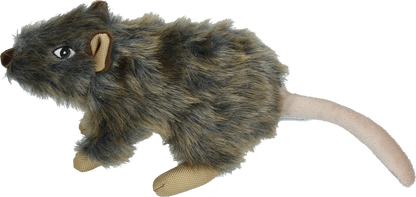Wild Life Dog Rat