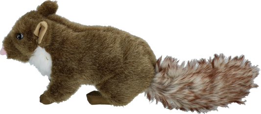 Wild Life Dog Marter