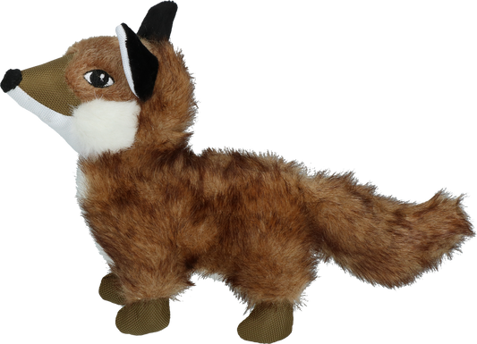 Wild Life Dog Fox
